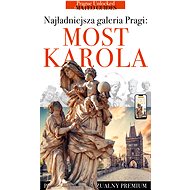 Charles Bridge - stories of statues, saints and sculptors - Lubor Matěj