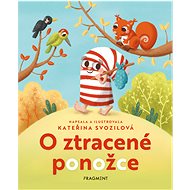 About the lost sock - Kateřina Svozilová