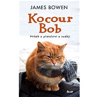 Kocour Bob - James Bowen