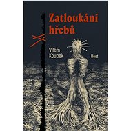 Hammering nails - Vilém Koubek