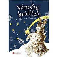 Christmas bunny - Marta Knauerová