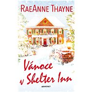 Vánoce v Shelter Inn - RaeAnne Thayne