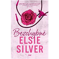 Bezchybně - Elsie Silver