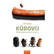 Bark beetles - Jiří Hulcr
