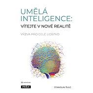 Umělá inteligence - Stanislav Šulc
