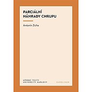 Parciální náhrady chrupu - Antonín Zicha