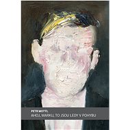 Ahoj, Marku, to jsou ledy v pohybu - Petr Motýl