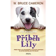 Příběh Lily - Bruce Cameron