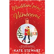 Nadělení před Vánocemi - Kate Stewart