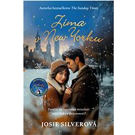 Winter in New York - Josie Silver