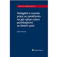 Illegal and forced labour with a focus on its performance by foreigners from third countries - Štěpán Pastorek