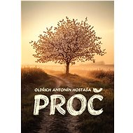 Why - Oldřich Antonín Hostaša