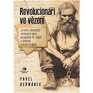 Revolutionaries in prison - Pavel Heřmánek