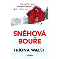 Sněhová bouře - Triona Walsh