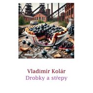 Crumbs and shards - Vladimír Kolár
