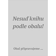 Člověk, dobro a zlo - Erazim Kohák