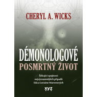 Demonologists: Afterlife - Cheryl A. Wicks