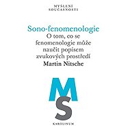 Sono-fenomenologie - Martin Nitsche