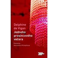 Jednoho prosincového večera - Delphine Vigan de