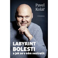 Labyrinth of pain - Pavel Kolář