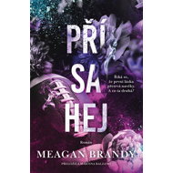 Přísahej - Meagan Brandy
