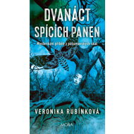 Twelve sleeping virgins - Veronika Rubínková