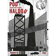 Pod haldou - Vladimír Zlý