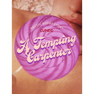 A Tempting Carpenter - Erotic Short Story - 