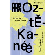 Distracted - Klára Kubíčková