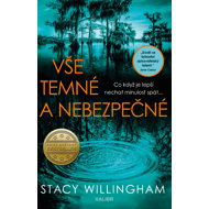 Vše temné a nebezpečné - Stacy Willingham