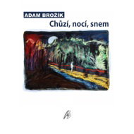 By walking, by night, by dream - Adam Brožík