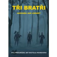 Three brothers - Akshara Jan Linhart