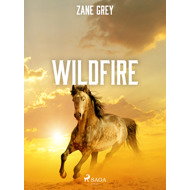 Wildfire - Zane Grey