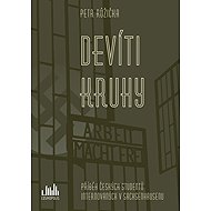 Nine circles - Petr Růžička