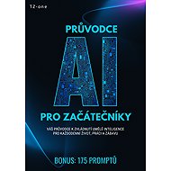 Průvodce AI pro začátečníky + BONUS: 175 promptů - Tomáš Zahradníček