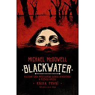 Blackwater: kniha první - Michael McDowell