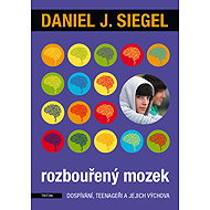 Rozbouřený mozek - Daniel J. Siegel