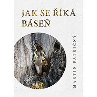 As the book says - Martin Patřičný