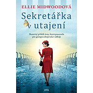 Sekretářka v utajení - Ellie Midwood