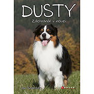 Dusty: Záchranář v nouzi - 