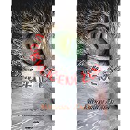 V obklíčení žen - Miroslav Zach