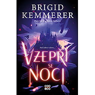 Vzepři se noci - Brigid Kemmerer