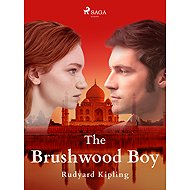 The Brushwood Boy - Rudyard Kipling