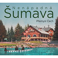 Nenápadná Šumava - Přemysl Čech