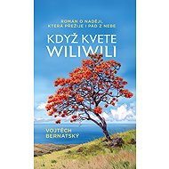 When wiliwili blooms - Vojtěch Bernatský