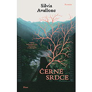 Black Heart - Silvia Avallone