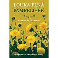 Meadow full of dandelions - Hana Marie Körnerová