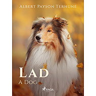 Lad: A Dog - Albert Payson Terhune