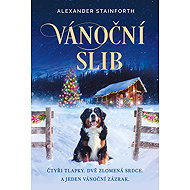 Christmas promise - Alexander Stainforth