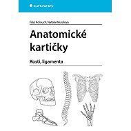 Anatomical cards - Filip Kolouch